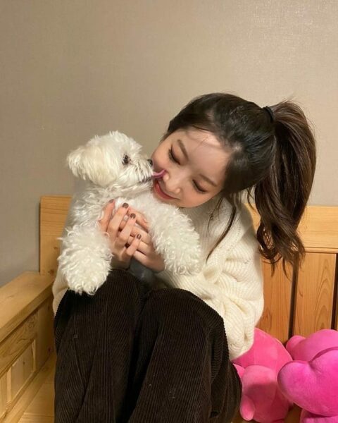 TWICE(トゥワイス)の愛犬・ペットの名前や犬種の一覧!