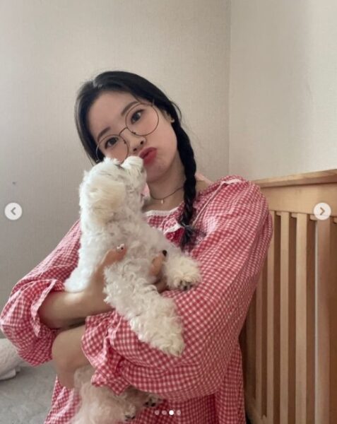TWICE(トゥワイス)の愛犬・ペットの名前や犬種の一覧!