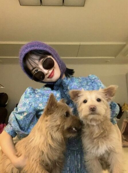 TWICE(トゥワイス)の愛犬・ペットの名前や犬種の一覧!