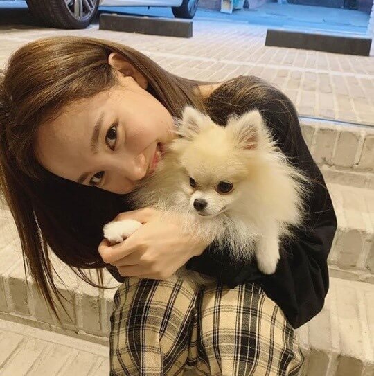 TWICE(トゥワイス)の愛犬・ペットの名前や犬種の一覧!