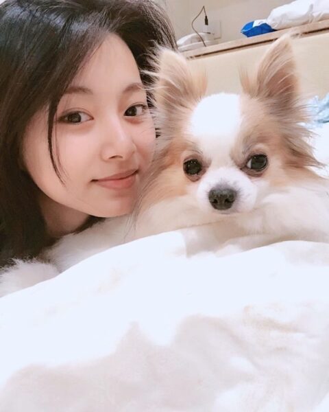 TWICE(トゥワイス)の愛犬・ペットの名前や犬種の一覧!