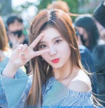 TWICE(トゥワイス)に太ってた時はある?足が太いメンバーは?