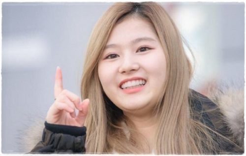 TWICE(トゥワイス)に太ってた時はある?足が太いメンバーは?