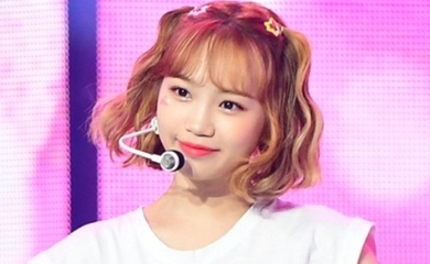 IZONE(アイズワン)のハイタッチ会の人気順は？