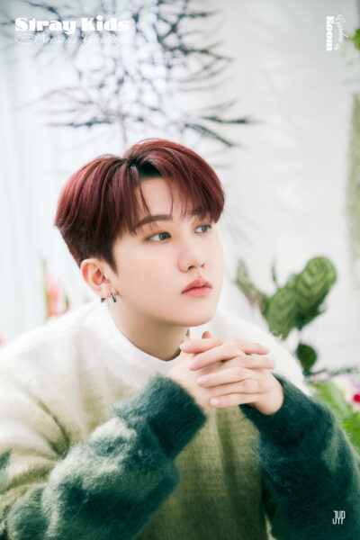 Straykids(スキズ)のメンバーの見分け方・覚える方法について