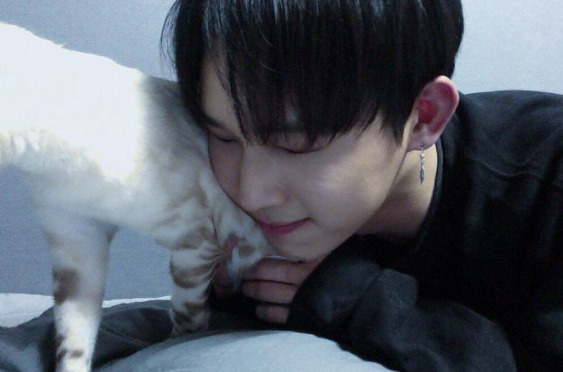 BTOB(ビートゥービー)メンバーの人気順ランキング2022!序列はある?