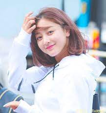 TWICE(トゥワイス)の解散の公式発表・活動休止はいつ？噂は本当なの？