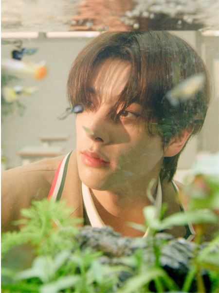 ENHYPEN(エンハイフン)は歌が下手?生歌はやばい?