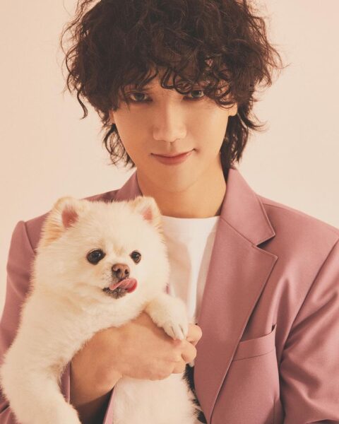 スーパージュニア(super junior)のメンバー人気順ランキング最新2022年版!