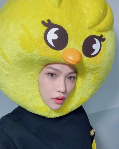 Stray Kids(スキズ)のメンバーが動物に?グループ公式キャラクターをご紹介!