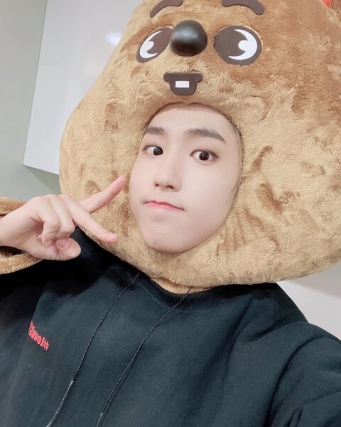 Stray Kids(スキズ)のメンバーが動物に?グループ公式キャラクターをご紹介!