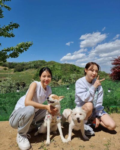 MAMAMOO(ママムー)の宿舎はどこ?2022年の部屋割りは?