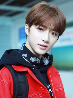 韓国アイドル(k-pop)イケメンランキング2022!日本人は入ってる?