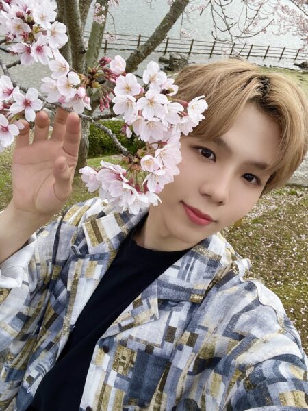 NCT(127・U・DREAM)ファンクラブの種類・人数・仕組み・メリットについて