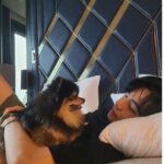 BTS テテ(v/キムテヒョン)が飼っているペット・ヨンタンは保護犬!?犬種や現在の様子をご紹介!