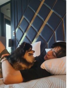 BTS テテ(v/キムテヒョン)が飼っているペット・ヨンタンは保護犬!?犬種や現在の様子をご紹介!