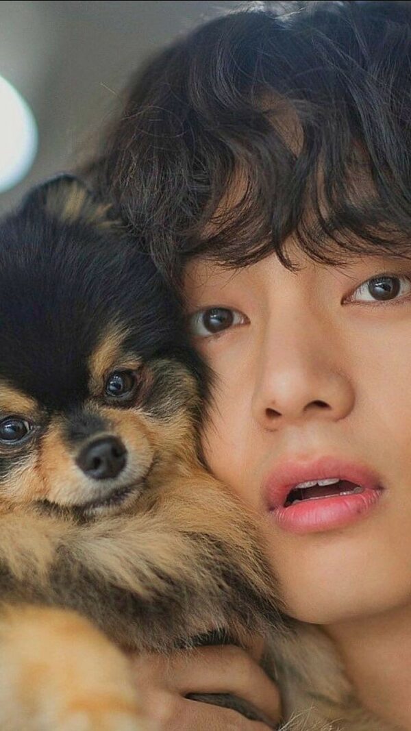 BTS テテ(v/キムテヒョン)が飼っているペット・ヨンタンは保護犬!?犬種や現在の様子をご紹介!