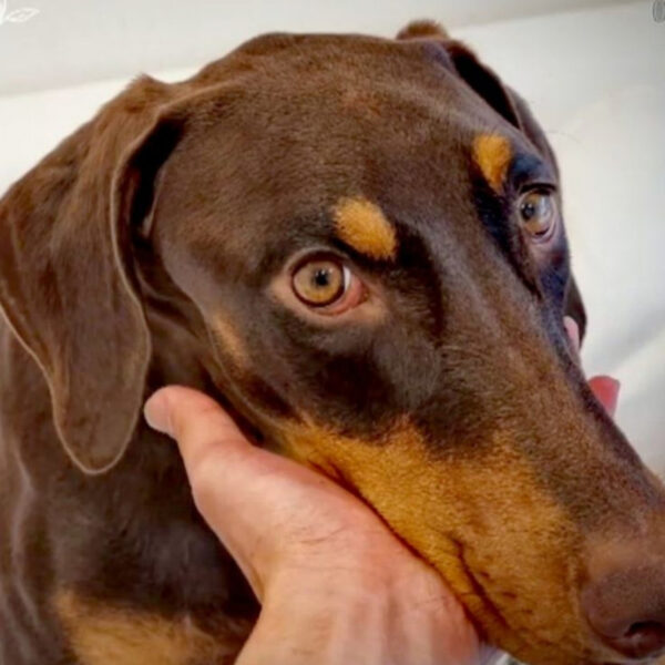 BTSのin the soopとは?内容やロケ地・視聴方法までご紹介します!