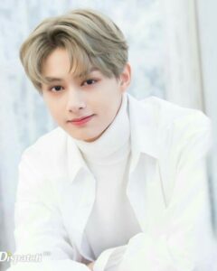 SEVENTEENジュンのプロフィール!誕生日や血液型は?出身地なども調査