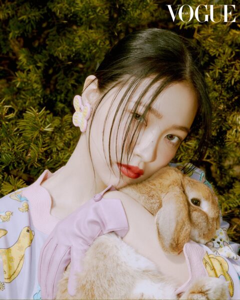 Red velvet(レドベル)の追加メンバーのイェリはなぜ途中加入した?