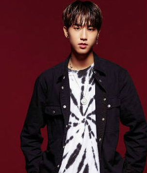 StrayKids(スキズ)ハンのプロフィール！出身、誕生日、血液型などご紹介！