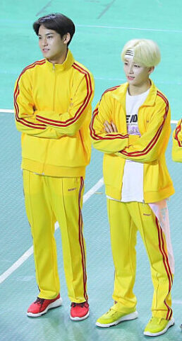 SEVENTEEN(セブチ)の嫌われてるメンバー・態度悪い人はいる?