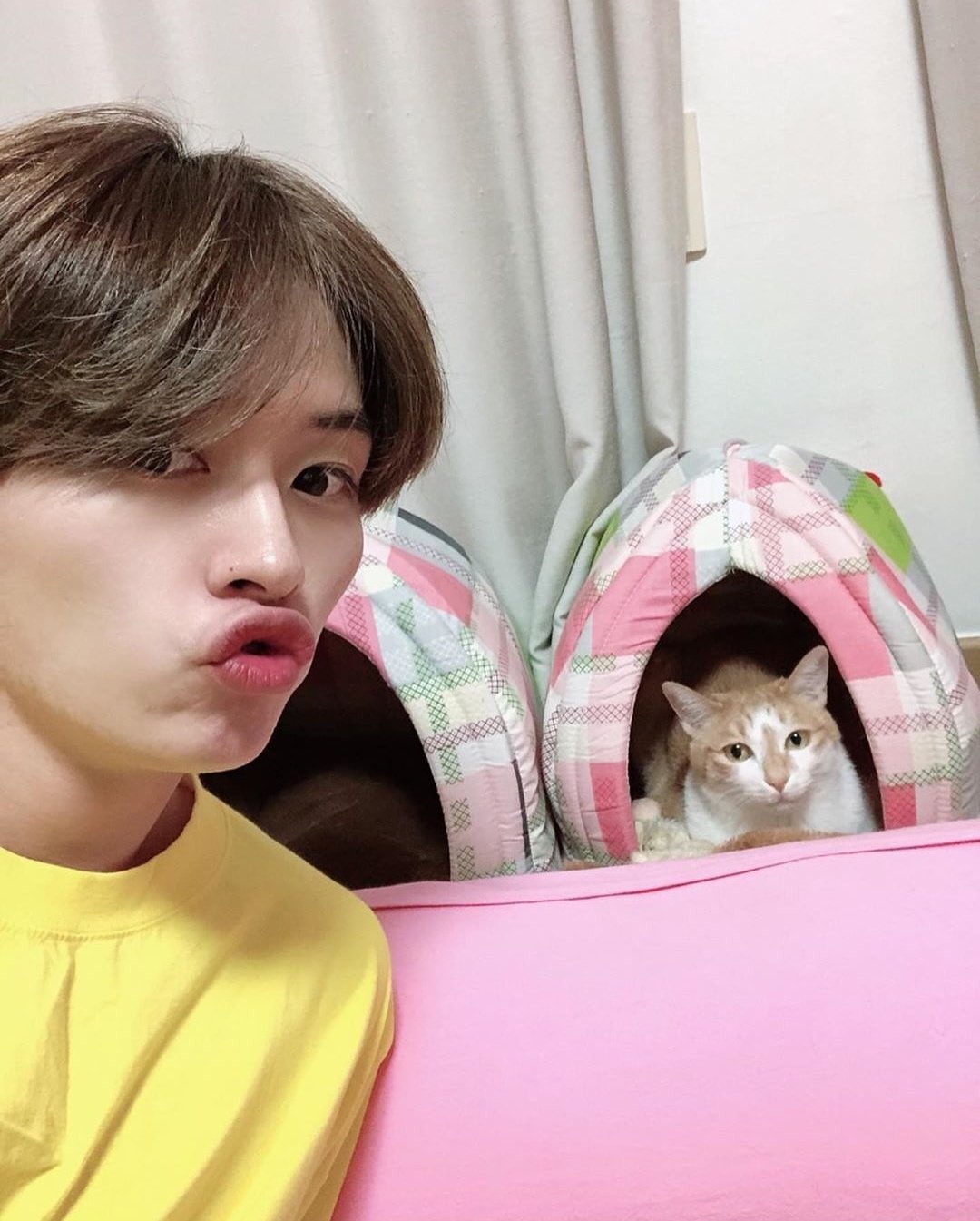 straykids(スキズ)リノの猫愛がすごい！保護猫のペットや名前を紹介！