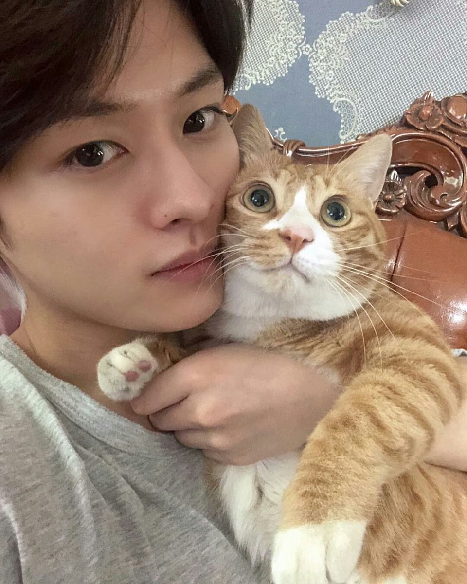 straykids(スキズ)リノの猫愛がすごい！保護猫のペットや名前を紹介！