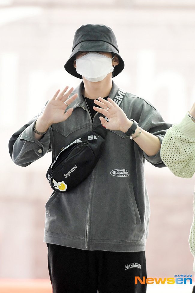 straykids(スキズ)リノの猫愛がすごい！保護猫のペットや名前を紹介！