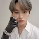 straykids(スキズ)リノの猫愛がすごい!保護猫のペットや名前を紹介!