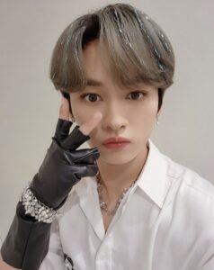 straykids(スキズ)リノの猫愛がすごい!保護猫のペットや名前を紹介!