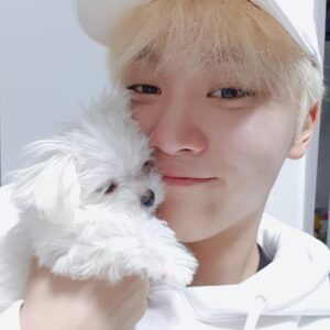 SEVENTEEN(セブチ)スングァンのプロフィール!身長、誕生日、血液型など!