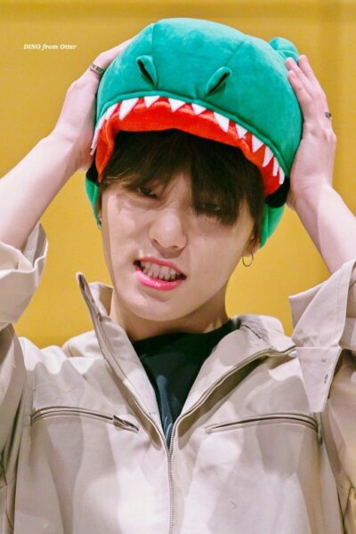 SEVENTEEN(セブチ)ディノのプロフィール!誕生日や身長・血液型など