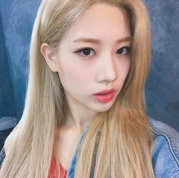 Loona(今月の少女)メンバーのプロフィール!年齢や身長・誕生日など