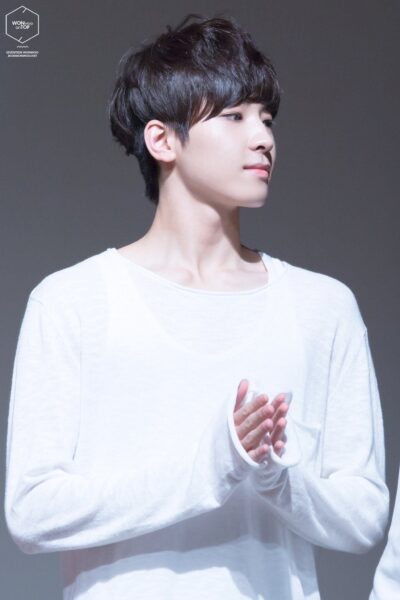 SEVENTEEN(セブチ)ウォヌの家族構成は?弟の情報やお母さんの病気について