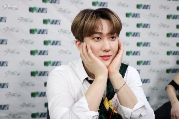 Straykids(スキズ)メンバーの歌上手い順ランキング!