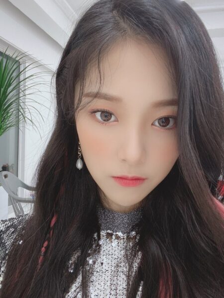 Loona(今月の少女)のイメージカラーやイメージアニマルのメンバーカラー、絵文字をご紹介!