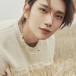 SEVENTEEN(セブチ)ジョシュアはアメリカ国籍!両親は金持ちって本当?