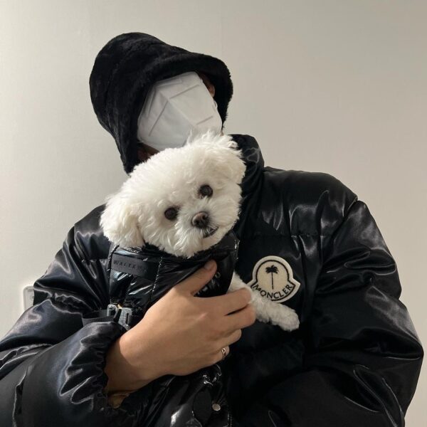 SEVENTEEN(セブチ)ミンギュの愛犬の名前・犬種・インスタ紹介！