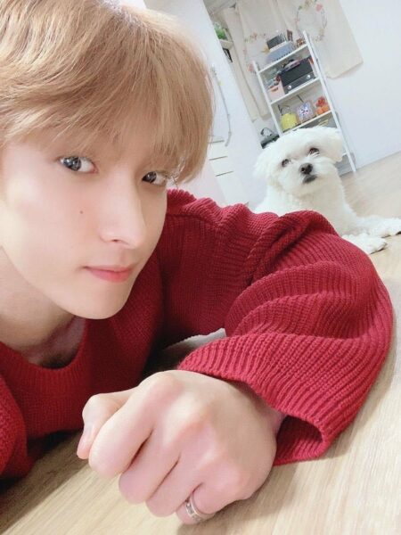 SEVENTEEN(セブチ)ミンギュの愛犬の名前・犬種・インスタ紹介！