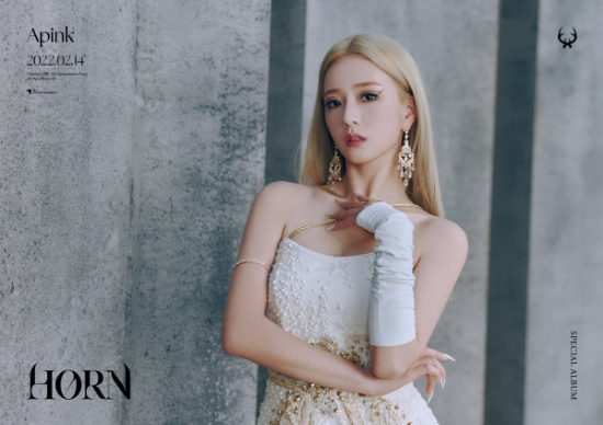 Apink(エイピンク)のメンバープロフィール！年齢や誕生日、出身地まで調査しました！