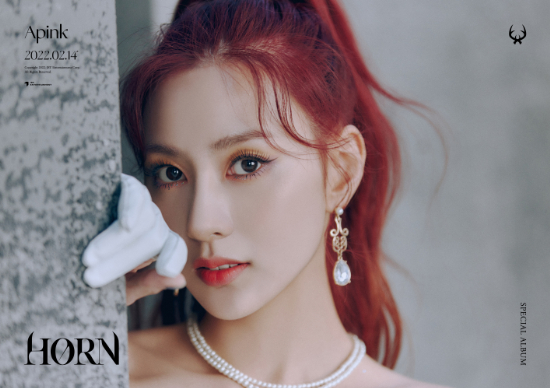 Apink(エイピンク)のメンバープロフィール！年齢や誕生日、出身地まで調査しました！