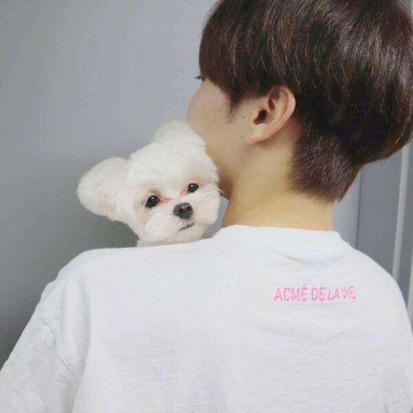 SEVENTEEN(セブチ)スングァンの姉は歌手！？名前、年齢などご紹介！