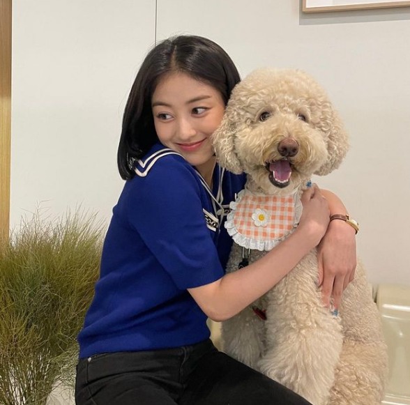 TWICE(トゥワイス)ジヒョのプロフィール！誕生日や出身地は？血液型なども調査