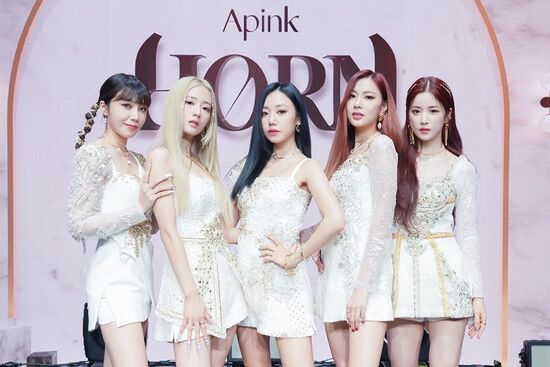 Apink(エイピンク)の再契約は何年で更新したの？解散は決まってる？