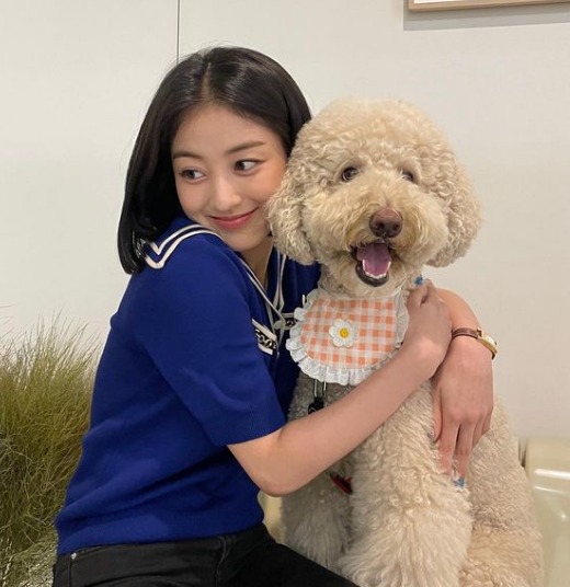 TWICE(トゥワイス)ジヒョの可愛い写真が見たい!インスタ本物公式アカはある?