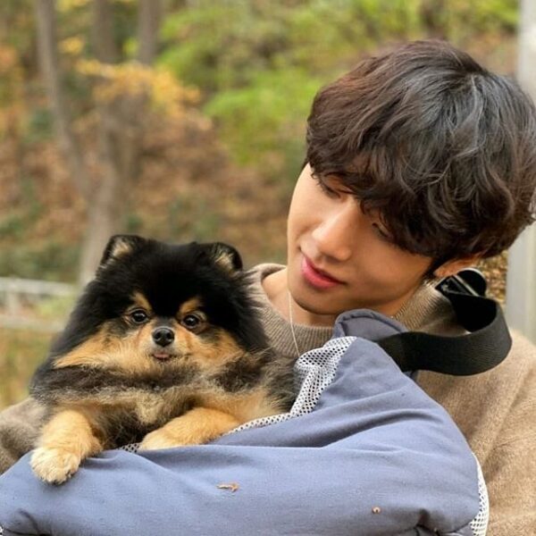 BTS 6月から今までのソロ活動を総まとめ！順番にご紹介します！