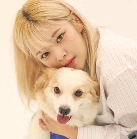 TWICE(トゥワイス)ジョンヨンのインスタやツイッターに本物公式はある？