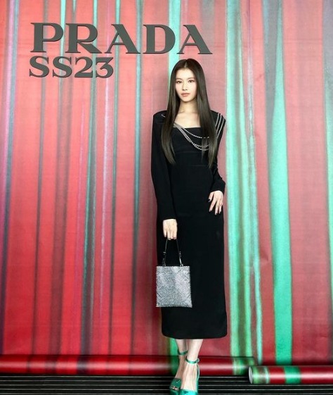 TWICE(トゥワイス)サナのイメージカラーは紫!イメージ動物やキャラも知りたい