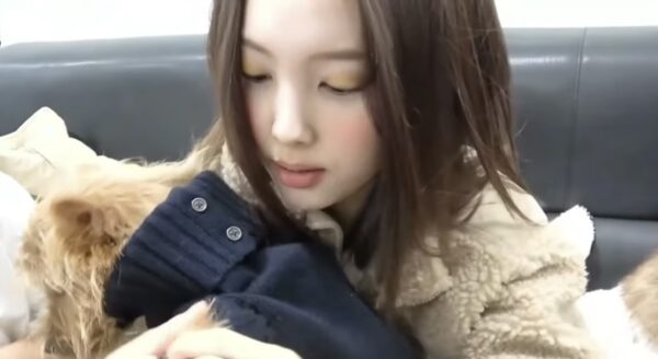 TWICE(トゥワイス)モモのペットは犬！名前はブーとドビーで種類は何？